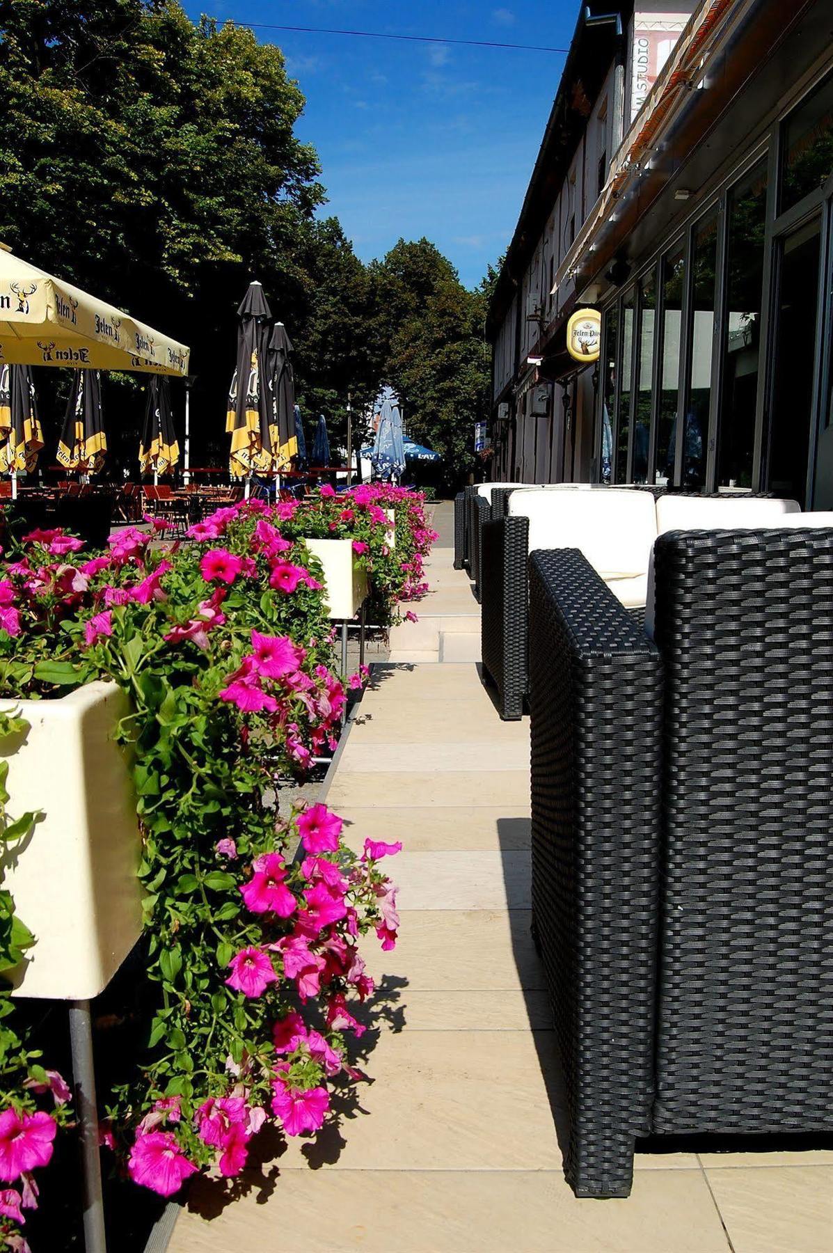 Hotel Tiski Cvet Novi Becej Exterior photo